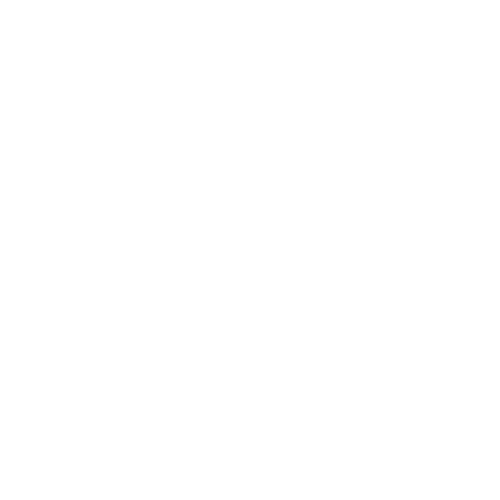 Lead from the Heart